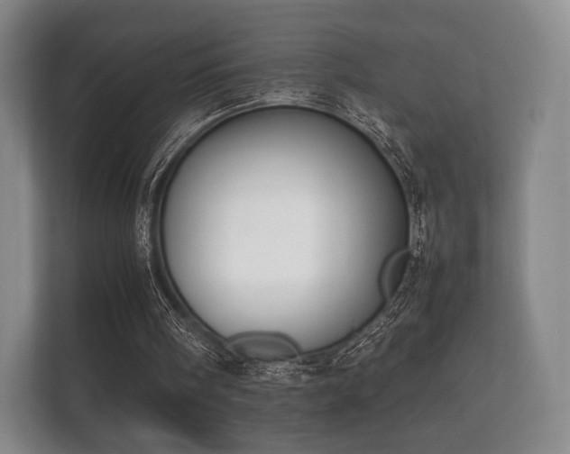 X0000112170098200908141314