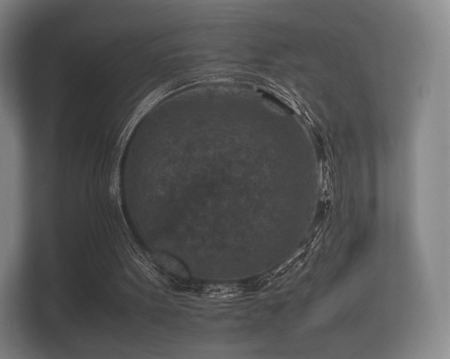 X0000112170099200908141314