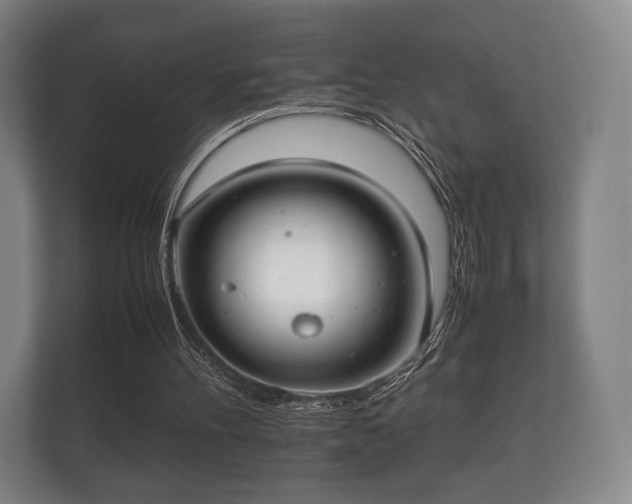 X0000112170100200908141314