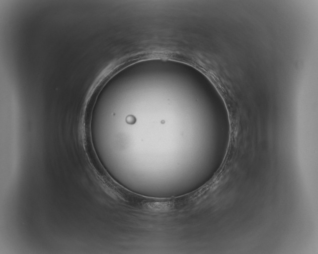 X0000112170102200908141314