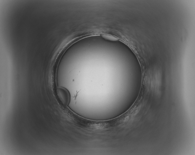 X0000112170103200908141314