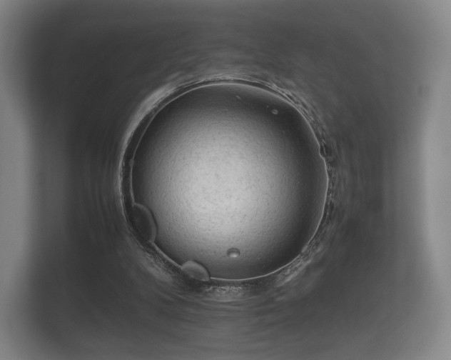 X0000112170104200908141314