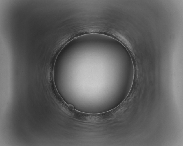 X0000112170105200908141314