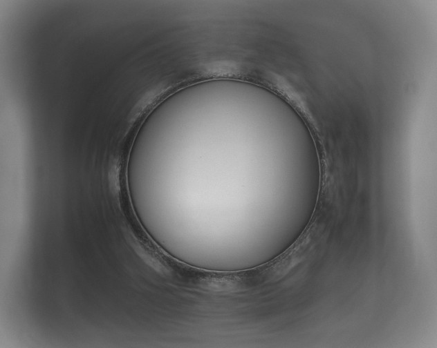 X0000112170106200908141313