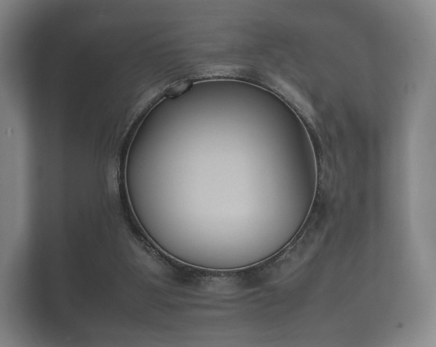 X0000112170107200908141313