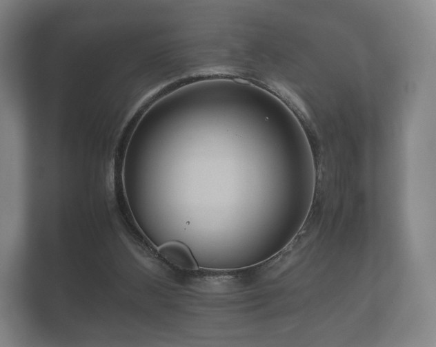 X0000112170108200908141313