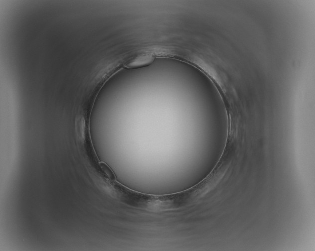 X0000112170109200908141313