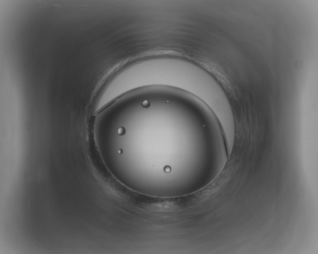 X0000112170112200908141313