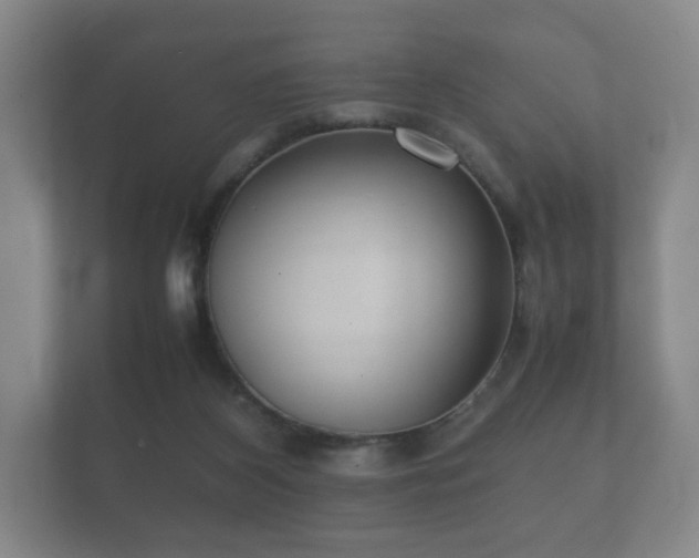 X0000112170116200908141313