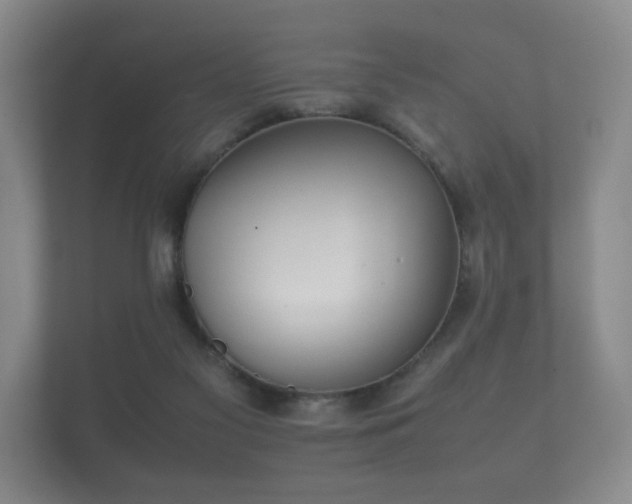 X0000112170117200908141313