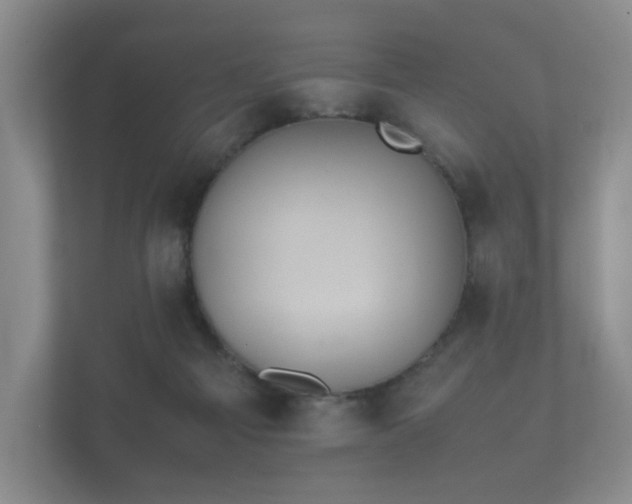 X0000112170121200908141313