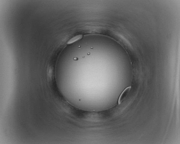 X0000112170123200908141313