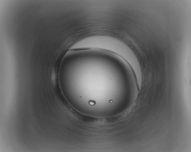 X0000112170124200908141313