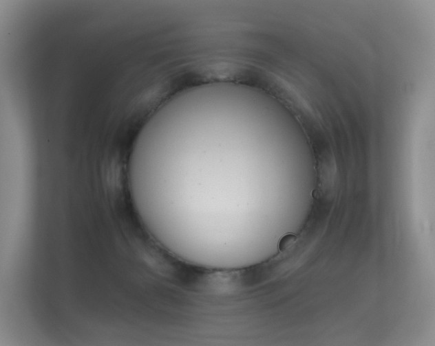 X0000112170126200908141313