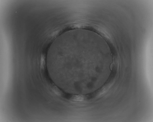 X0000112170127200908141313