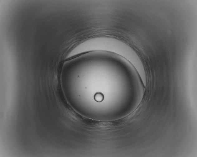 X0000112170128200908141313