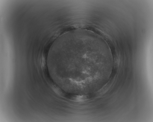 X0000112170130200908141313