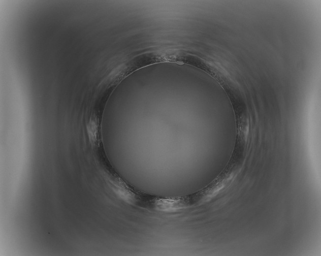 X0000112170139200908141313