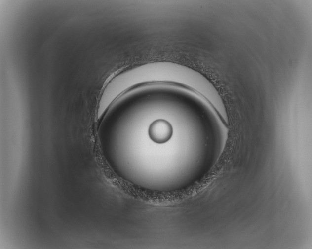 X0000112170144200908141313