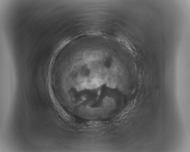 X0000112170145200908141312