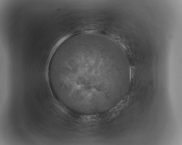 X0000112170147200908141312