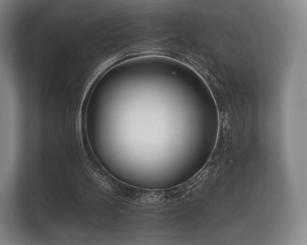 X0000112170148200908141312