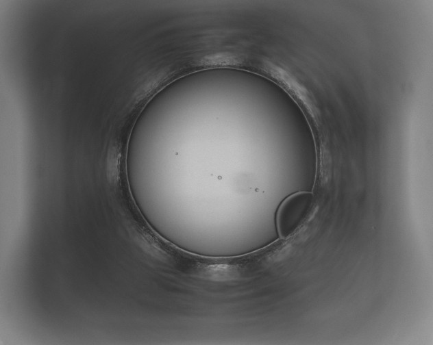 X0000112170153200908141312