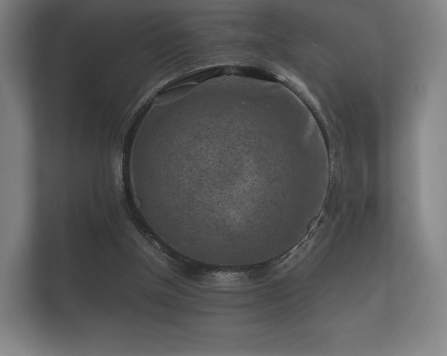 X0000112170154200908141312