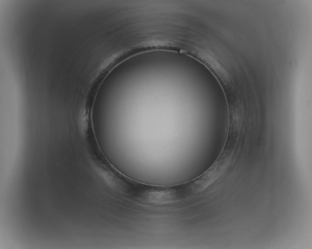 X0000112170160200908141313