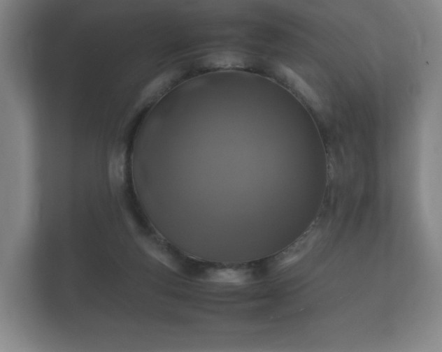 X0000112170163200908141313