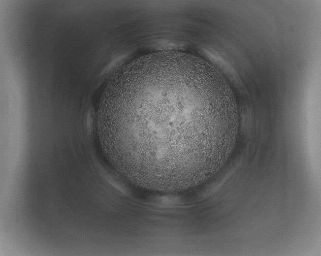 X0000112170165200908141313