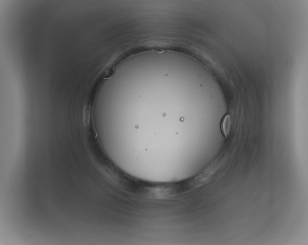 X0000112170168200908141313