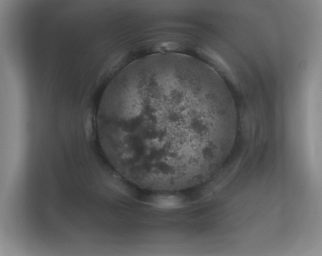 X0000112170169200908141313