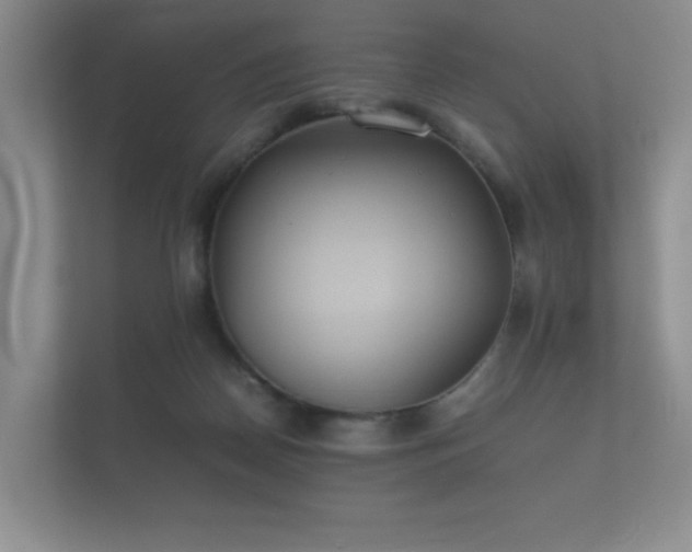 X0000112170170200908141313