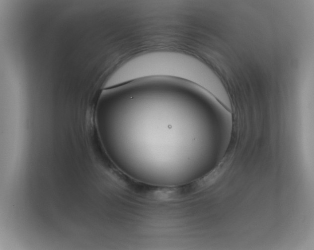 X0000112170172200908141313