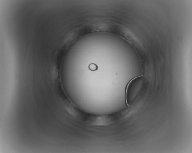 X0000112170173200908141313