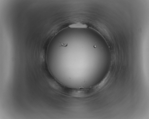 X0000112170174200908141313