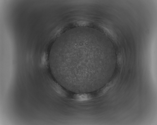 X0000112170181200908141313