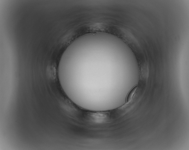 X0000112170183200908141313