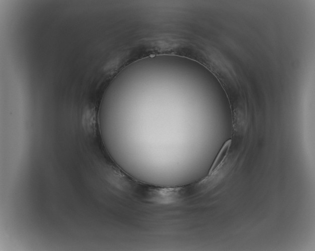 X0000112170184200908141313