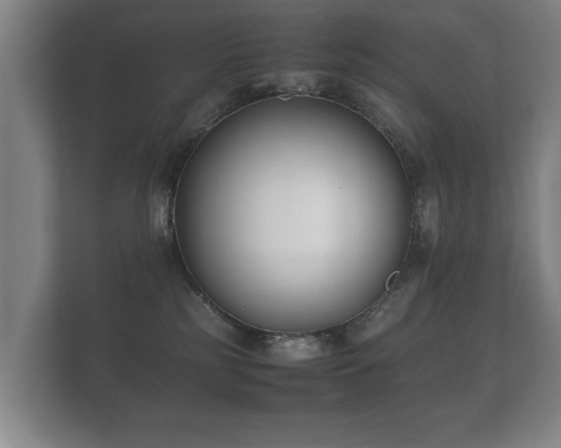 X0000112170185200908141313