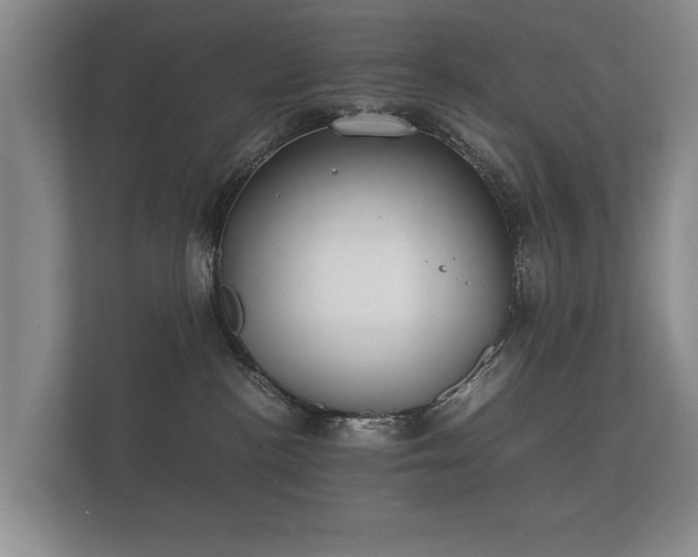 X0000112170188200908141313