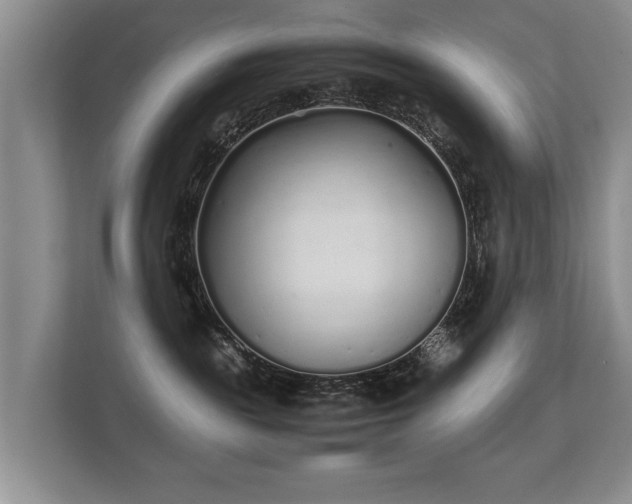 X0000112170189200908141313