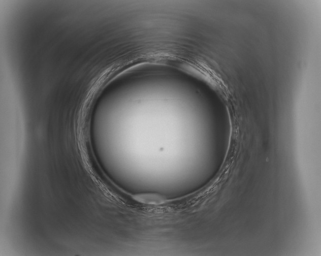 X0000112170193200908141312