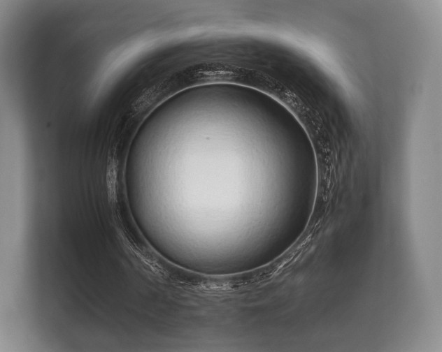 X0000112170194200908141312