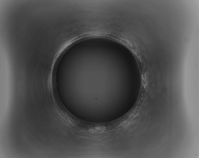 X0000112170196200908141312