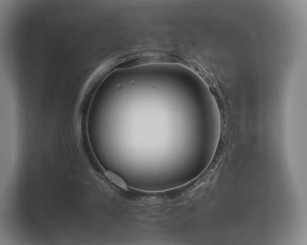 X0000112170197200908141312