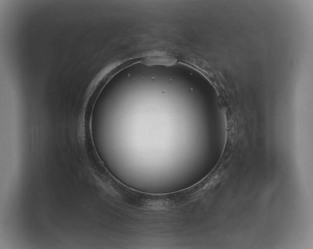 X0000112170200200908141312