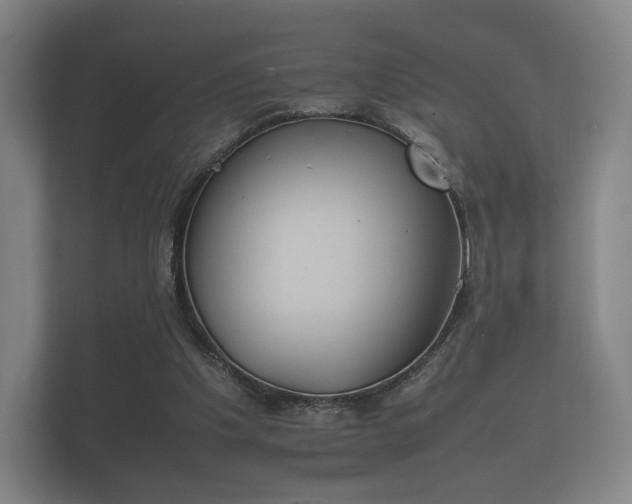 X0000112170201200908141312