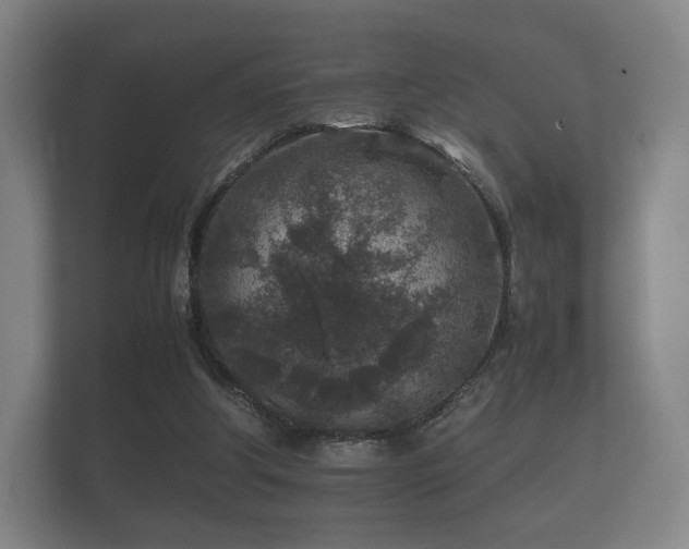 X0000112170202200908141312